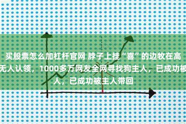 买股票怎么加杠杆官网 脖子上挂“喜”的边牧在高速服务区无人认领,1000多万网友全网寻找狗主人,已成功被主人带回