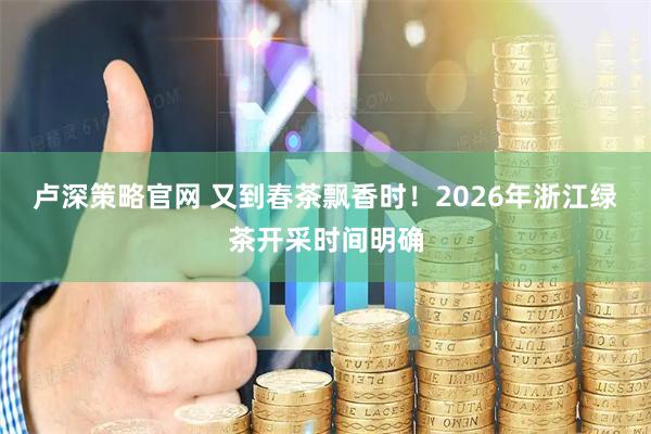 卢深策略官网 又到春茶飘香时！2026年浙江绿茶开采时间明确