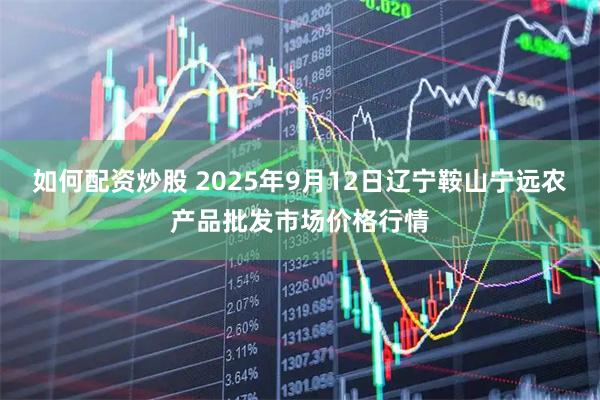 如何配资炒股 2025年9月12日辽宁鞍山宁远农产品批发市场价格行情